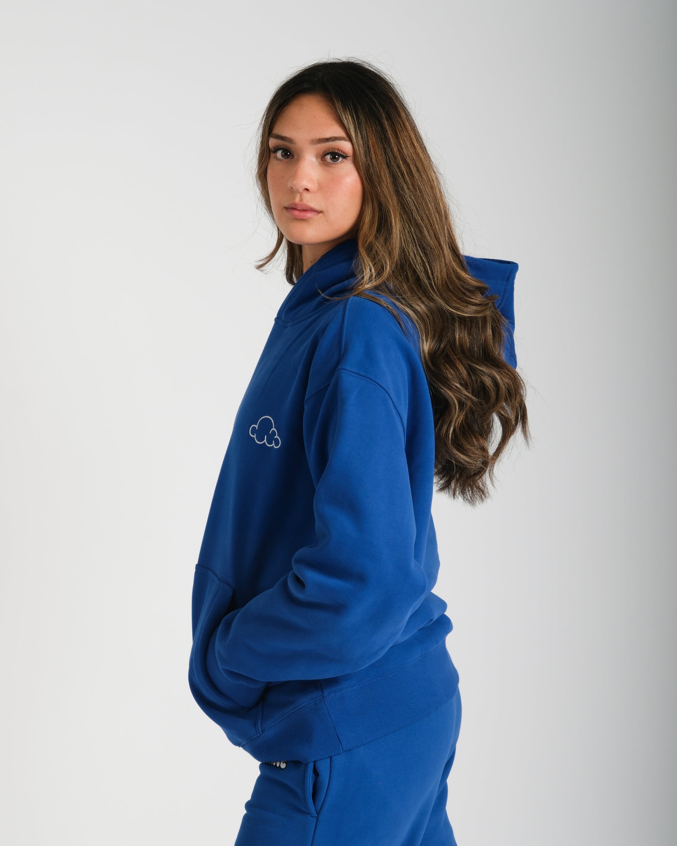 Cloud Hoodie | Heavyweight Comfort Hoodie with Built-In Stress