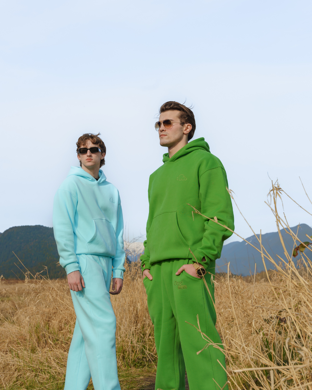 Pastel Cloud Hoodie in Ice Blue and Matcha Green