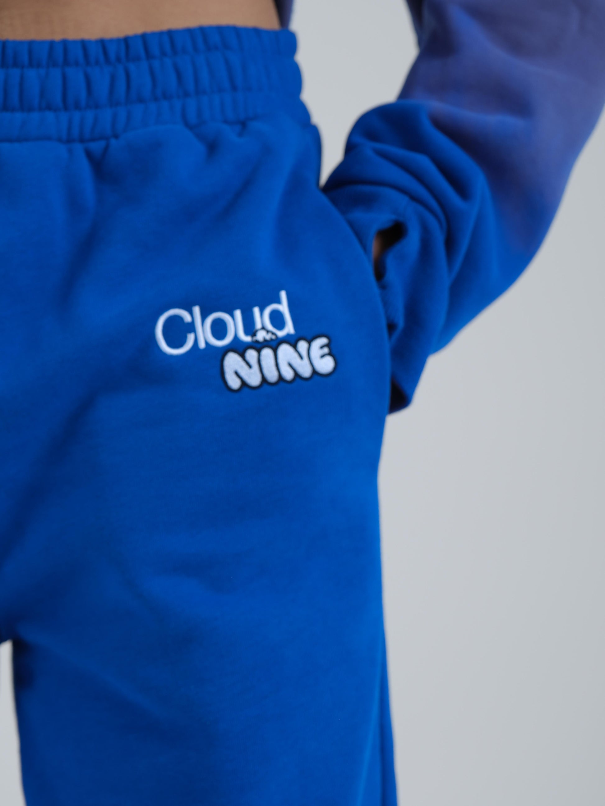 blue sweatpants​