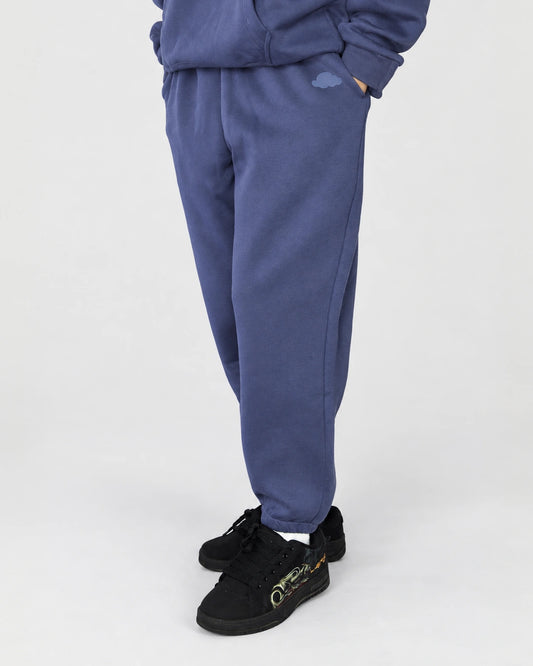 Soothe adult sweatpants in Moonlit Purple - Front view